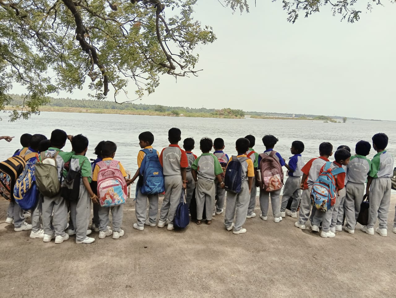 Primary Picnic - 2025
