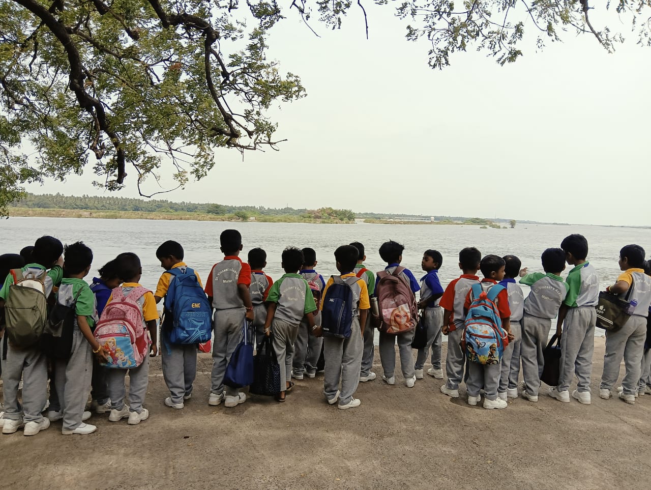 Primary Picnic - 2025