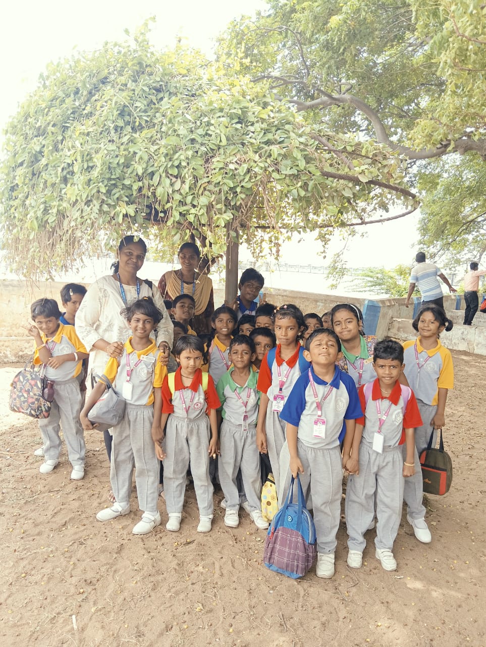 Primary Picnic - 2025